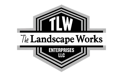 tlw big logo