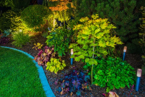 landscape lighting in parker co