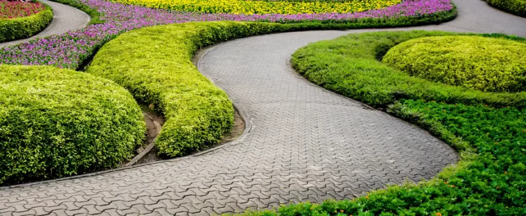 Backyard Landscape Design Ideas for Parker & Douglas County Homes 5 landscape design ideas for parker and douglas county homes